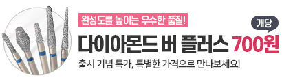 덴티안 다이아몬드 버 플러스 출시기념 특가 2026.10.28~