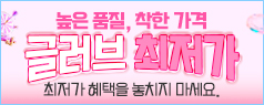 최저가 글러브 25.12~