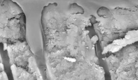 S1409006_08.jpg