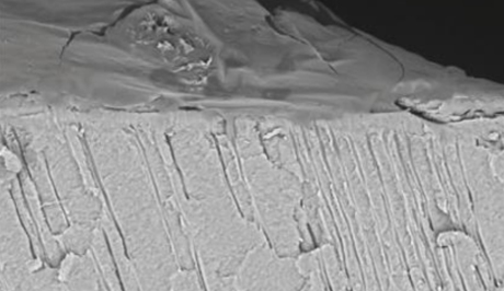 S1409006_09.jpg